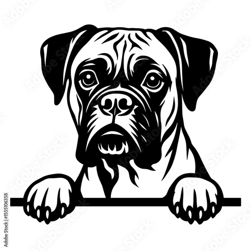 A powerful and expressive boxer dog peers out, its soulful eyes capturing your attention. This is a photorealistic illustration, showcasing intricate linework.