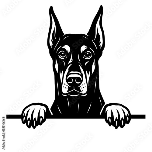 Doberman Pinscher peeking over a banner, strong and elegant dog breed, vector illustration.