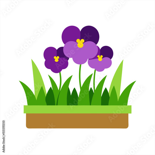 Vector Illustration of Pansy Flowerbed with Grass on White Background