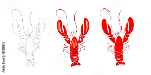 Set of three vector lobster illustrations: outline, flat color, and stylized version. Suitable for seafood design, menus, or culinary branding