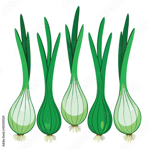 six green Onion vegetable separately set  isolated  on white background