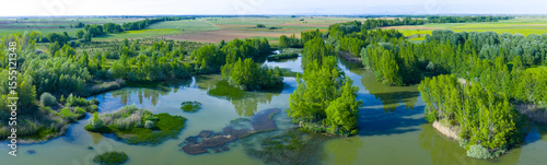 Aerial view from a drone of the riparian forest on the Cea River near Galleguillos de Campos, Tierra de Sahagún Region, Leon Province, Castile and Leon, Spain, Europe