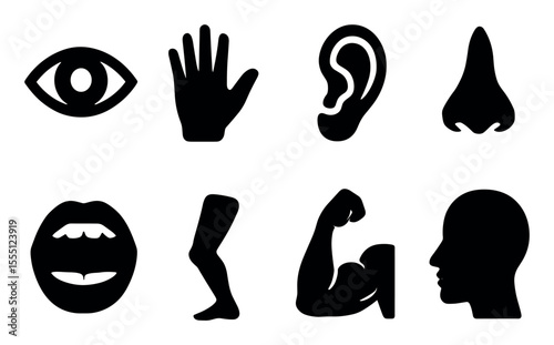 Human anatomy silhouette icon set. eye, hand, ear, nose, mouth, leg, arm, head silhouettes