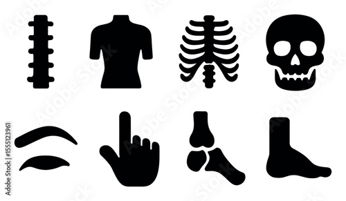Human anatomy solid icon set. skeleton, skulls, bones icons solid collection