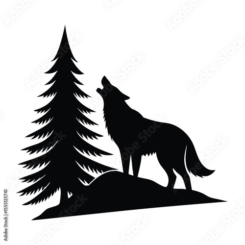 Howling wolf standing on a hill next to a pine tree silhouette
