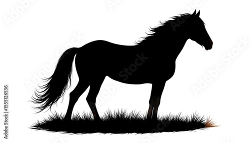 Classic Horse Silhouette Isolated on Transparent Background – Elegant Animal Outline