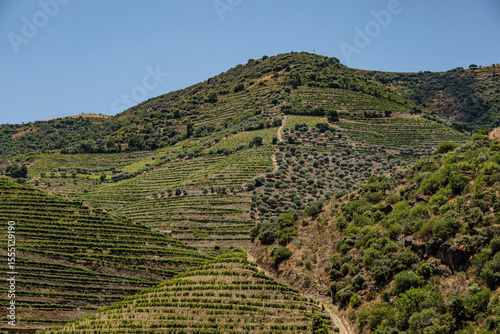 Rio Douro no Douro Vinhateiro património da UNESCO