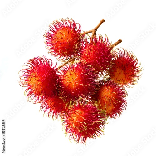 Rambutan isolated on a white background.