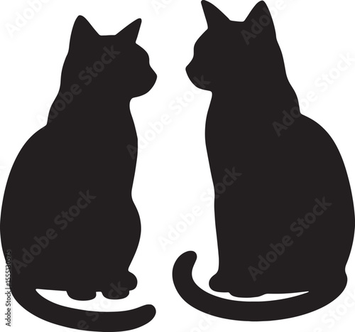 black and white cat