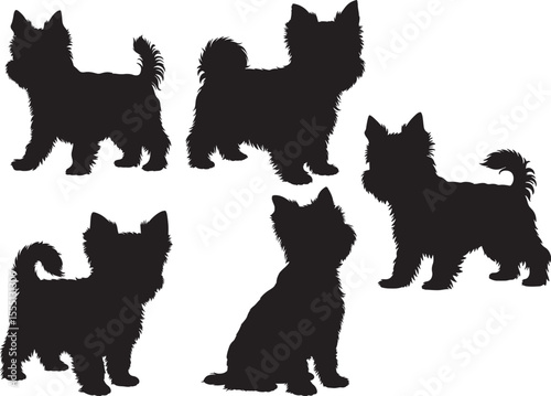 Yorkshire terrier silhouette vector illustration
