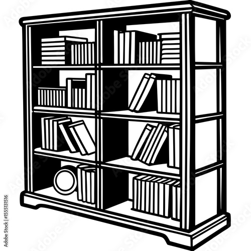 black and white shelves