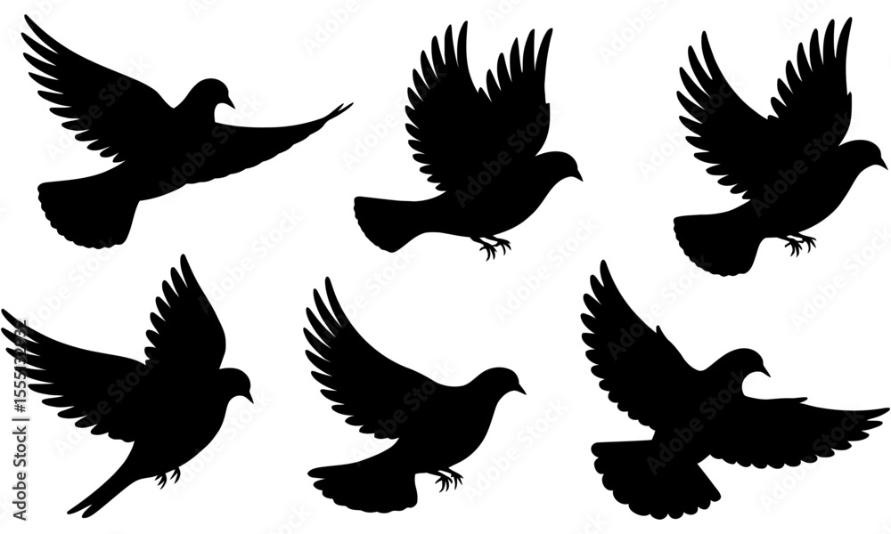 Obraz premium Silhouettes of doves in flight pattern