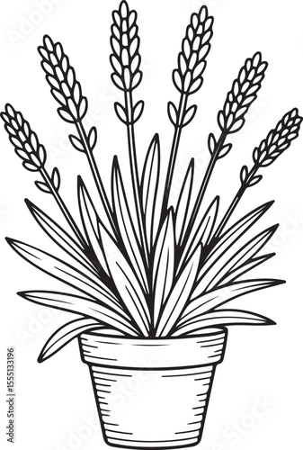 Lavender plant in flower pot outline, black and white botanical line art drawing for home decor, herbal garden, and nature-themed design