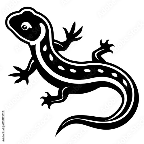 lizard on white background