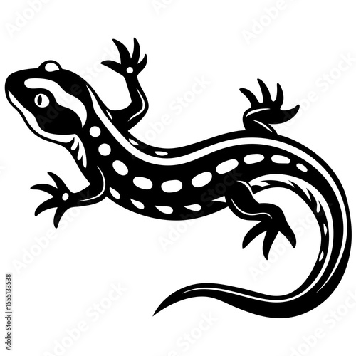 lizard isolated on white background