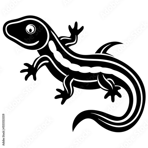 lizard on white