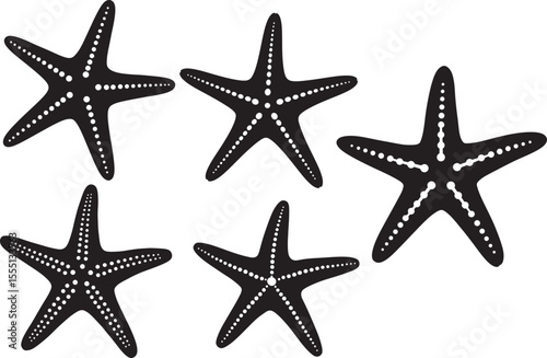 Starfish silhouette vector illustration