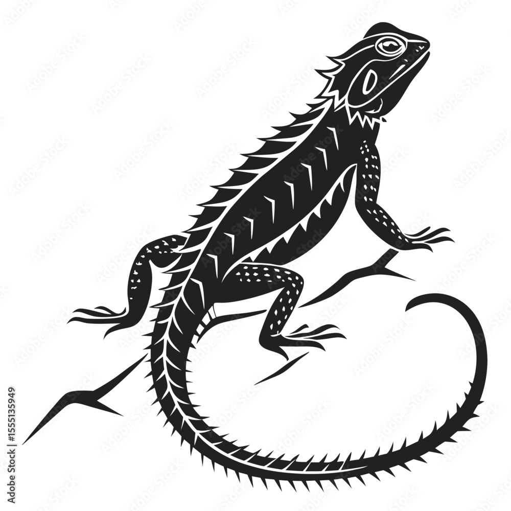 Fototapeta premium silhouette spiny tailed lizard on white background