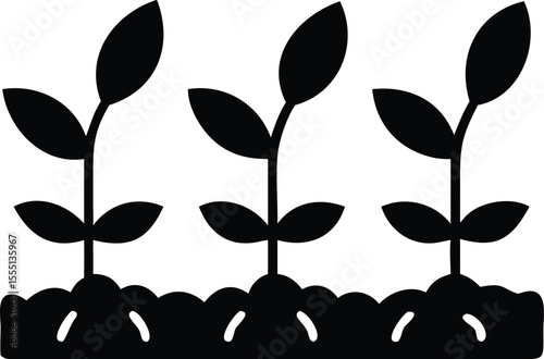 Three vibrant young seedlings emerging from rich soil, showcasing growth, new beginnings, and the promise of a bountiful harvest; a minimalist black and white illustration perfect for agricultural, en
