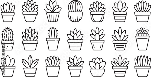 Succulent and cactus plant collection outline, black and white potted botanical illustrations for home decor, gardening, and minimal design