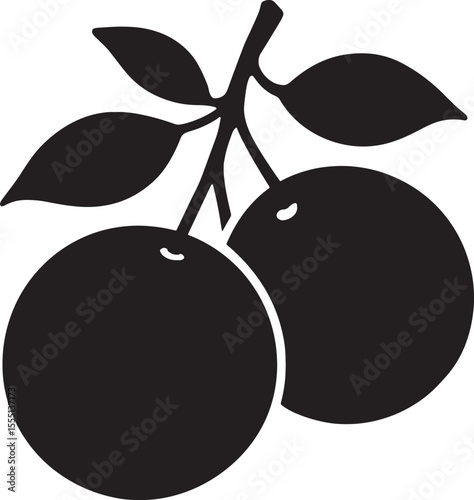 vector illustration of ripe plums