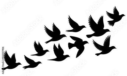 Silhouettes of doves in flight pattern
