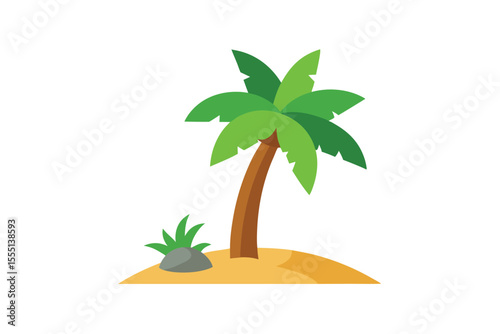 palm tree on the beach