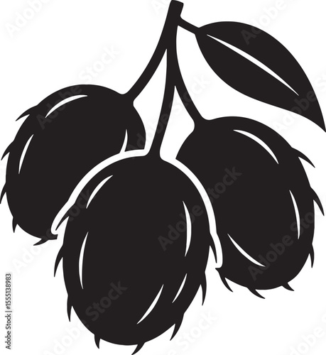 vector illustration of ripe plums