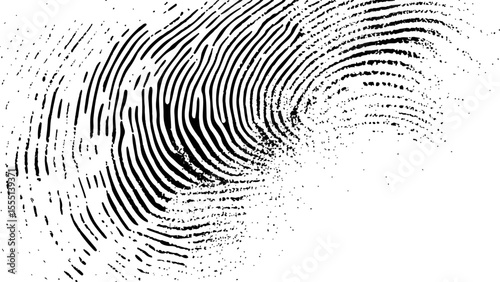  Vector white and black fingerprint texture. Black fingerprint on white transparent background.	