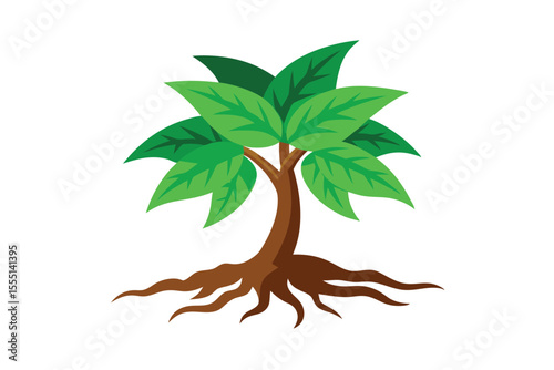 palm tree vector illustration