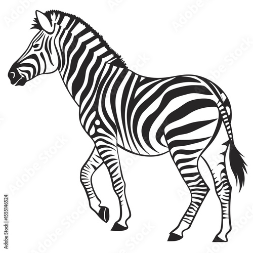 silhouette zebra on white background