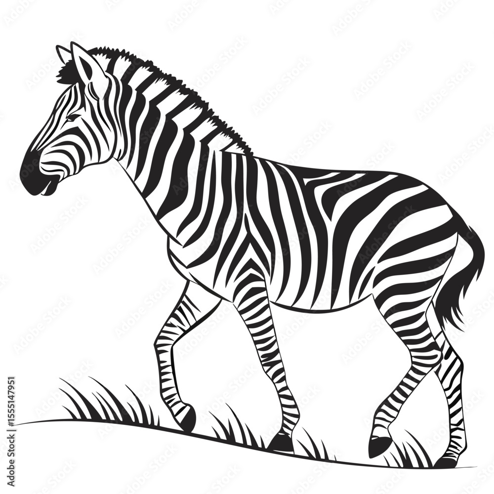 Fototapeta premium silhouette zebra on white background