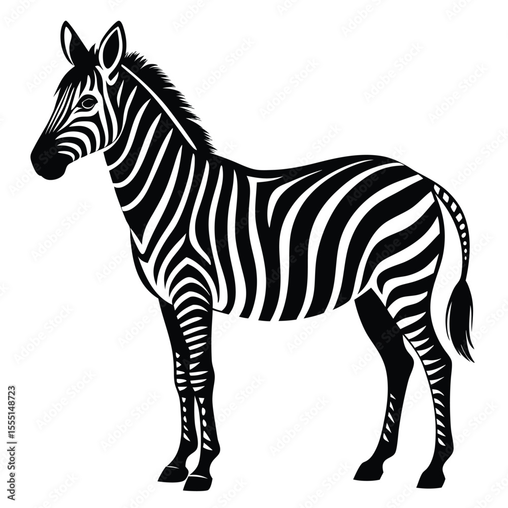 Fototapeta premium silhouette zebra on white background