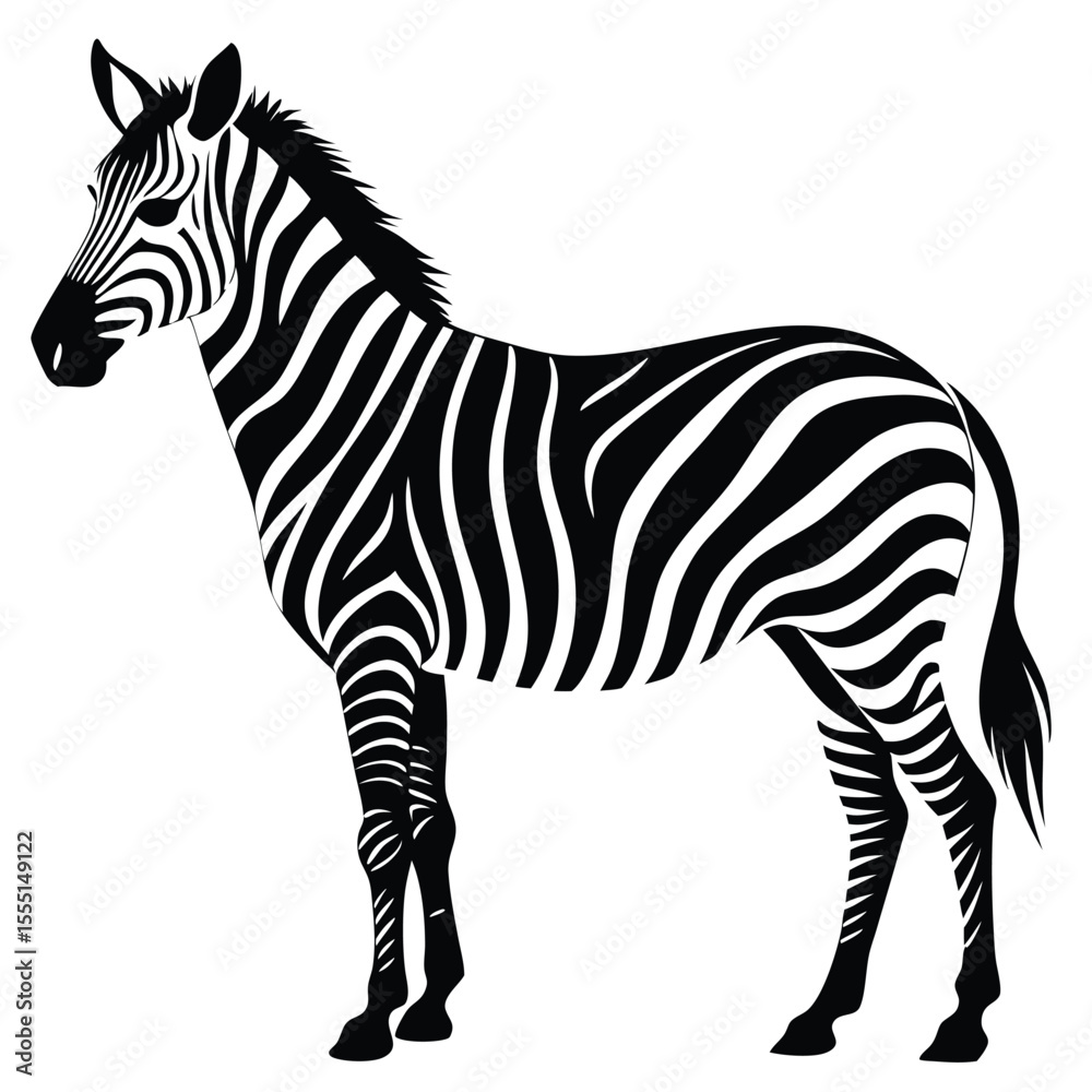 Fototapeta premium silhouette zebra on white background