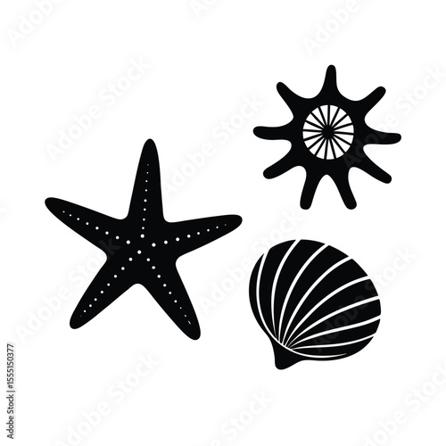 seashell-and-starfish-summer-pattern-vector-on-whi.eps