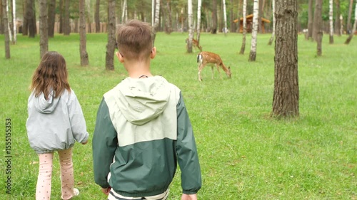 Children walking in park observing deer grazing on grass