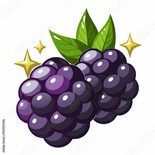 blackberry and raspberry