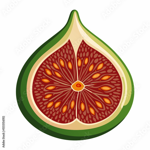 vector illustration of an orange