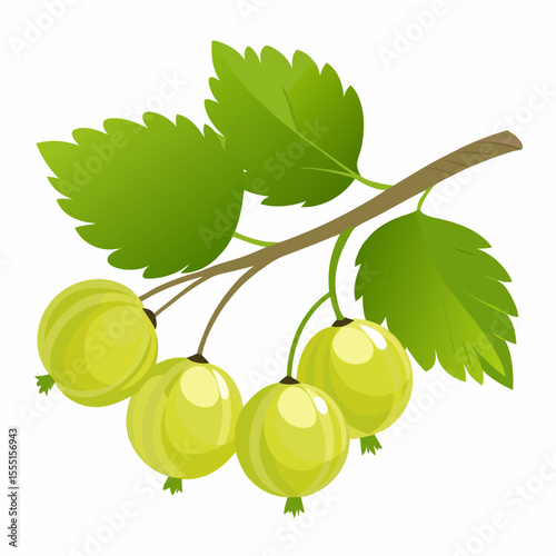 vector illustration of grapes