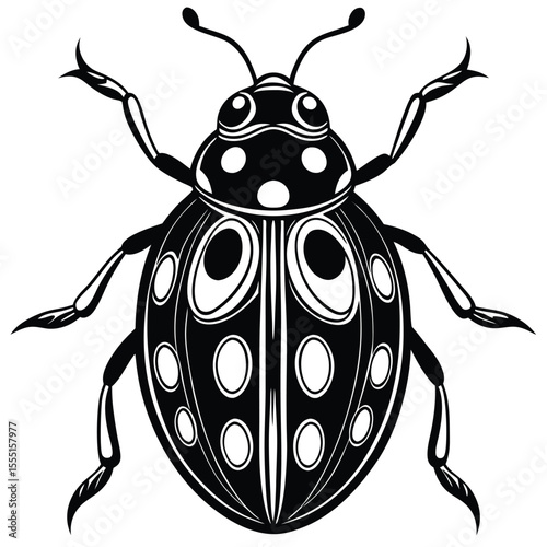 Black and White Ladybug - Detailed Insect Illustration