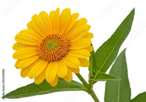 A vibrant yellow flower, positioned slightly off-center to the left of the image