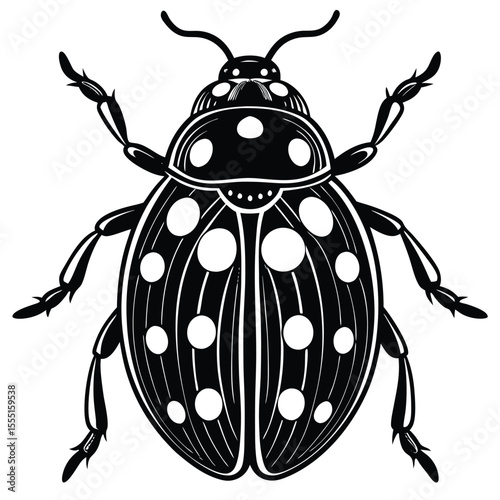 Black and White Ladybug - Detailed Insect Illustration