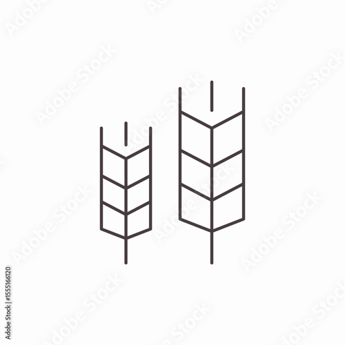 two wheat stalks icon sign vector