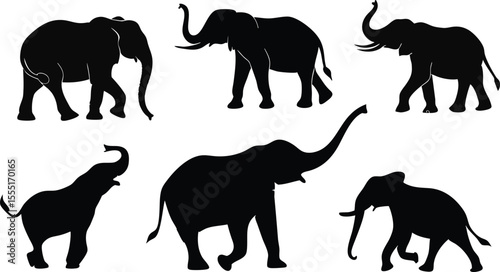 Vector pack of 8–10 elephant silhouettes in black, each in unique poses like walking, grazing, and trumpeting — ideal for wildlife SVG sets, vinyl crafts, and educational materials