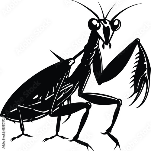 Black and White Praying Mantis - Insect Silhouette