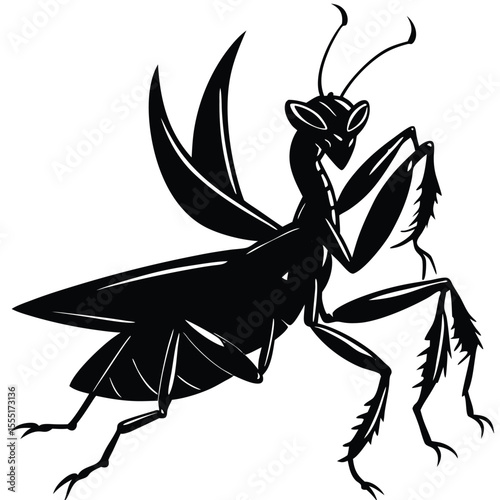 Black and White Praying Mantis - Insect Silhouette
