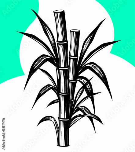 Black and White Sugarcane Plant Illustration