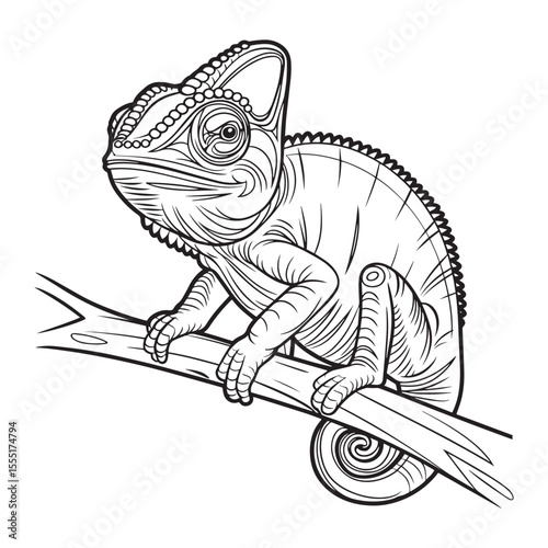 chameleon animal flat outline vector illustration on white background