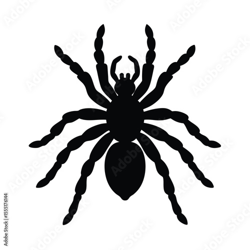 Tarantula spider vector silhouette