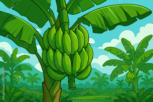 Green bananas bunch on a banana tree in a tropical plantation. Cartoon vector illustration of a jungle farm landscape. Concept for organic agriculture, farming, and healthy food.